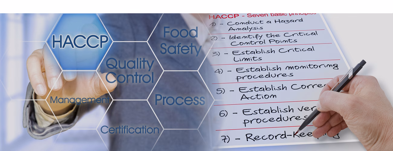 projekt_foodsafety